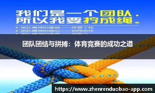 DB真人官方网站